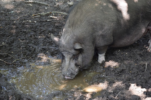 味着什么 味着什么