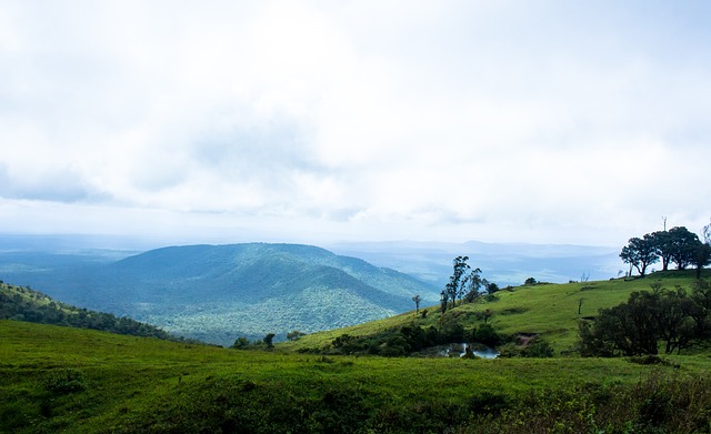 了一条挑战 了一条挑战