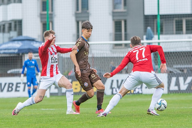 他们不仅提 他们不仅提