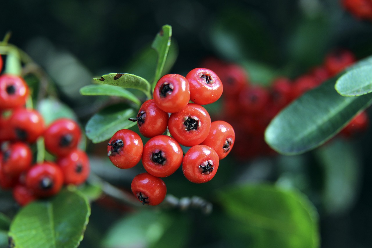 不仅是个人 不仅是个人